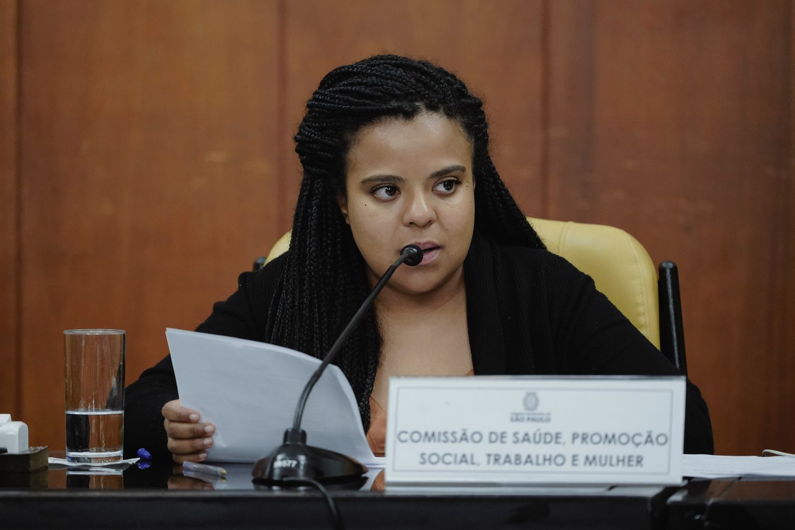 Vereadora Luana Alves promove evento para criação de programa antirracista para a cidade de Sâo Paulo